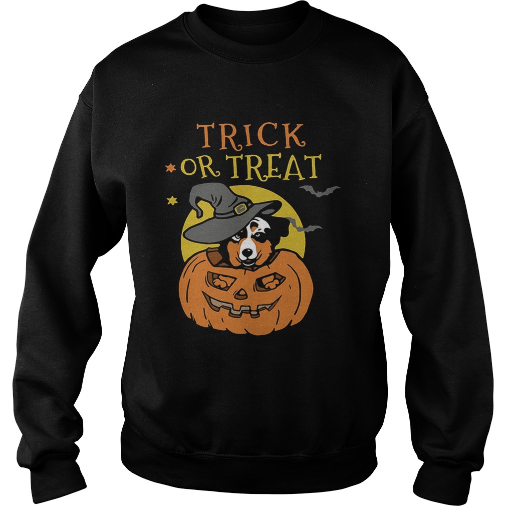 Australian Shepherd Halloween pumpkin trick or treat Sweatshirt