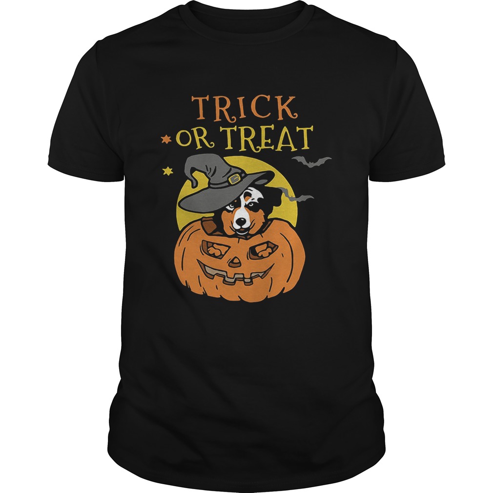 Australian Shepherd Halloween pumpkin trick or treat shirt