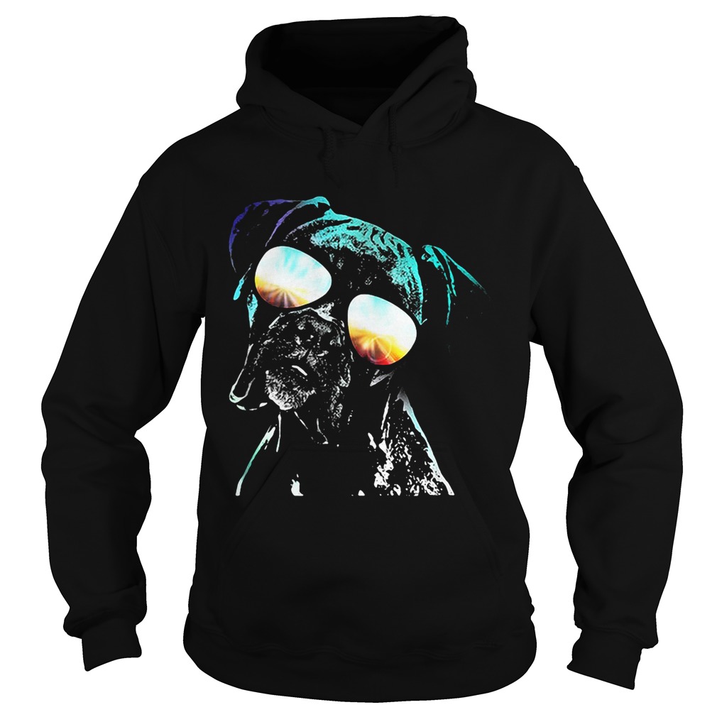 Boxer wearing glasses neon dog Hoodie