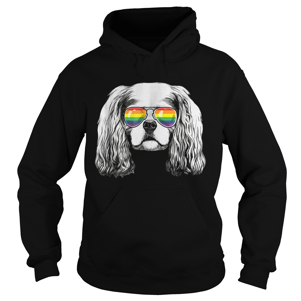 Cavalier king charles spaniel Gay Pride Flag Sunglasses Hoodie