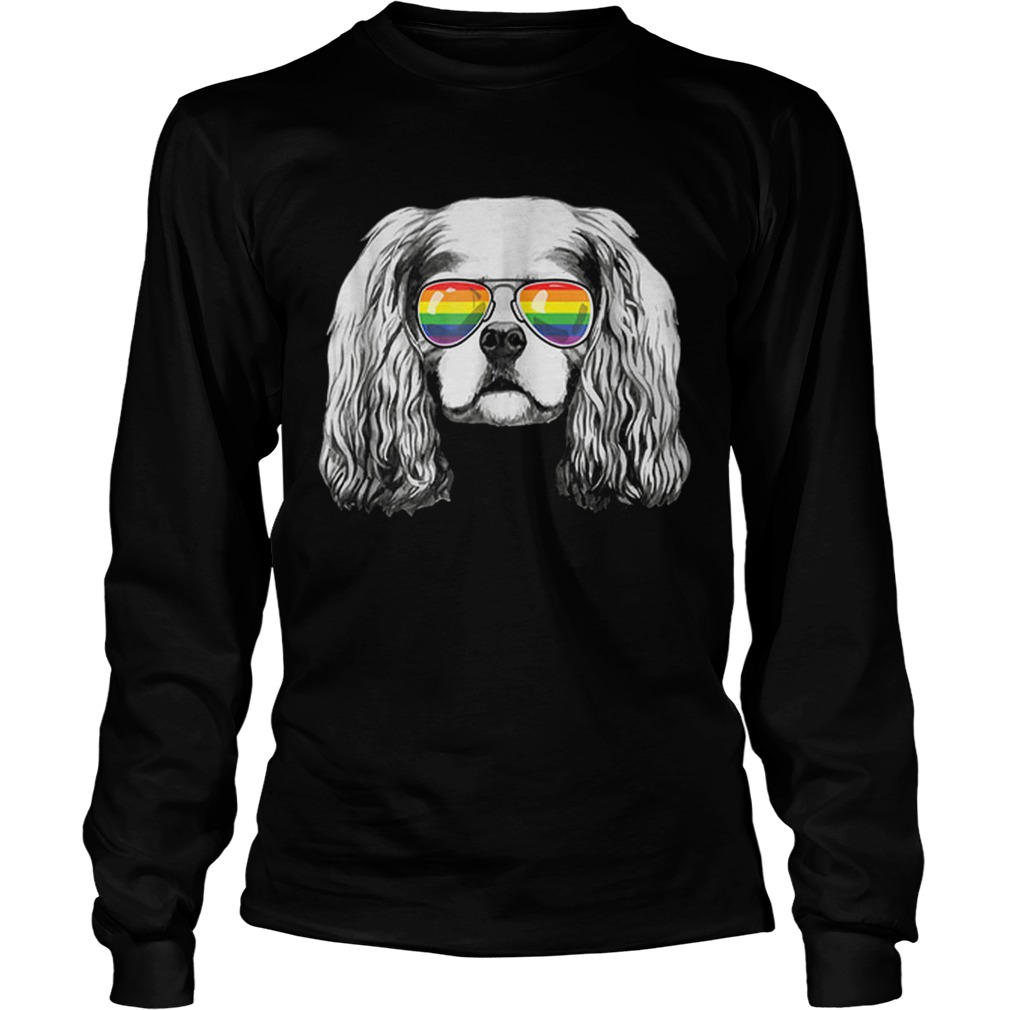 Cavalier king charles spaniel Gay Pride Flag Sunglasses LongSleeve