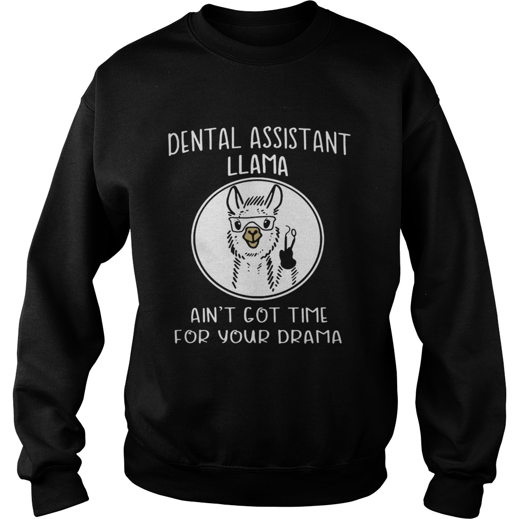 Dental assistant llama aint got time for your drama Sweatshirt