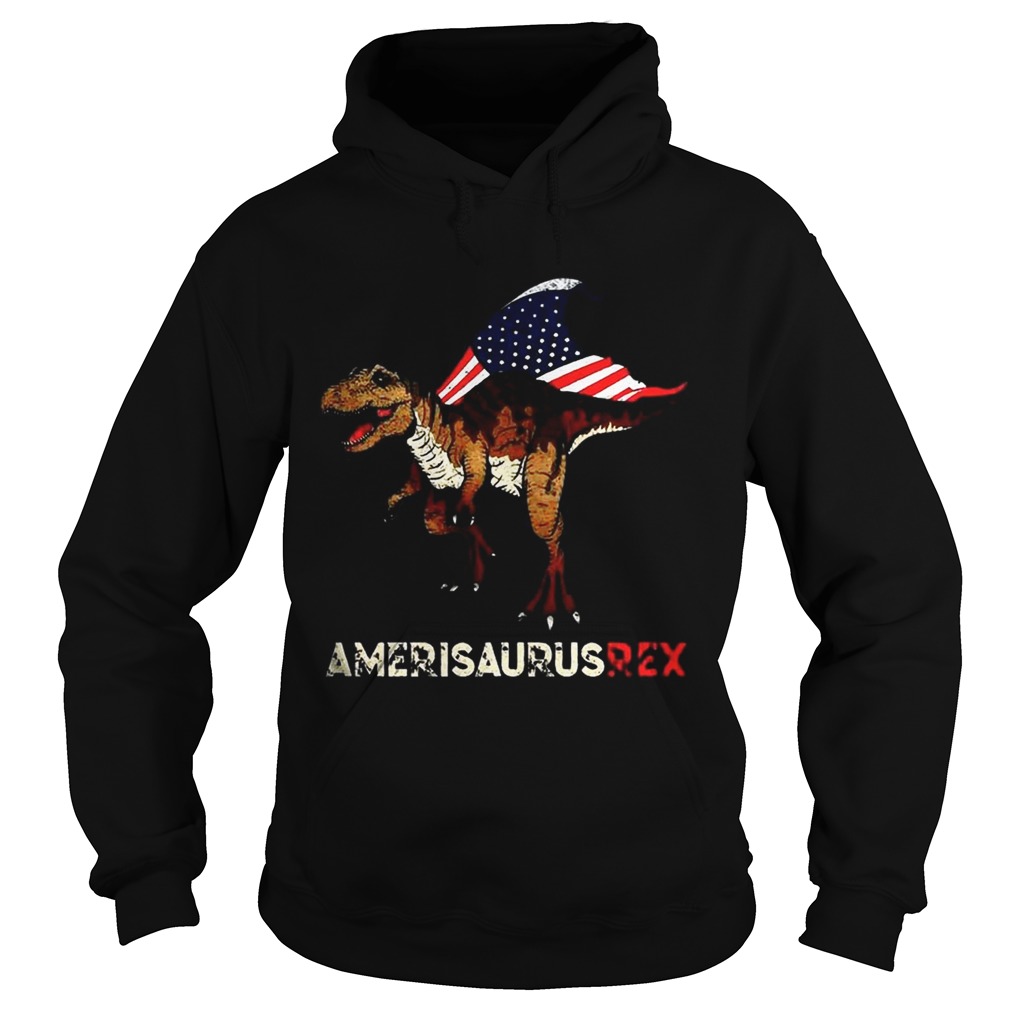 Dinosaur TRex American flag Ameri Saurus Rex 4th of July Hoodie