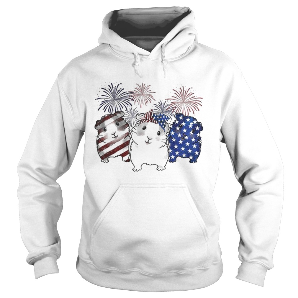 Fireworks Guinea Pigs 4th of July independence day American flag Hoodie