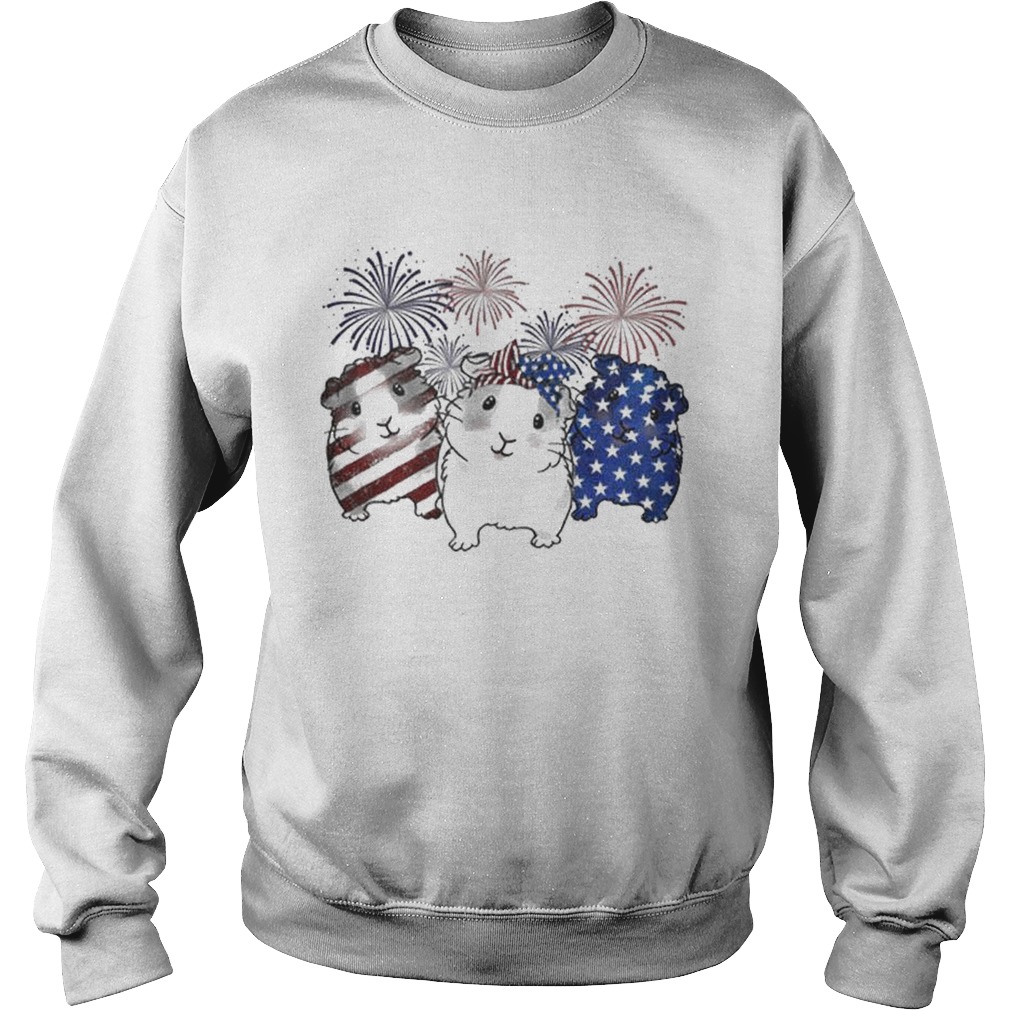 Fireworks Guinea Pigs 4th of July independence day American flag Sweatshirt