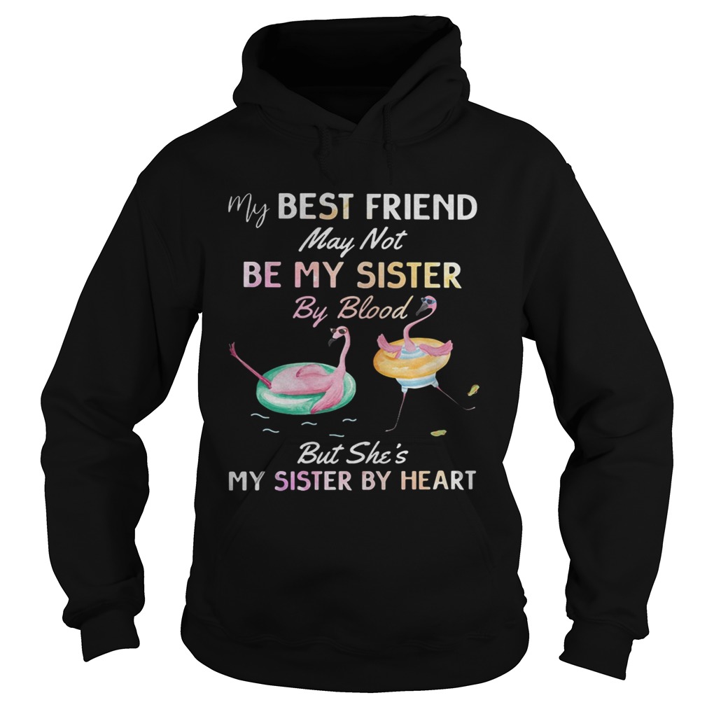 Flamingo my best friend may not be my sister by blood Hoodie