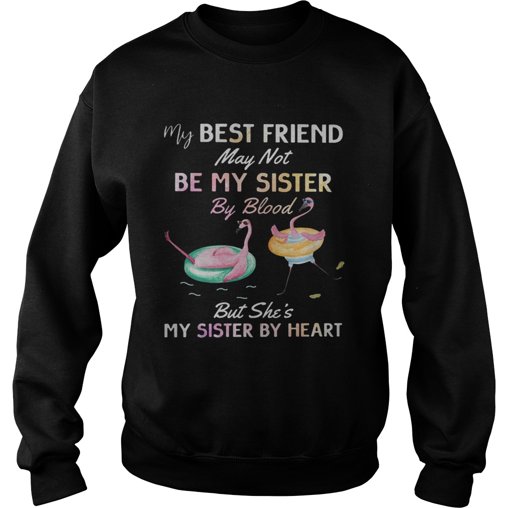 Flamingo my best friend may not be my sister by blood Sweatshirt