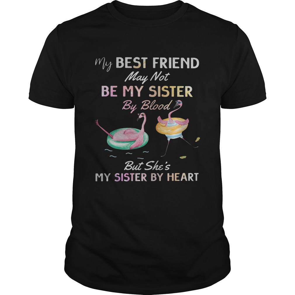 Flamingo my best friend may not be my sister by blood shirt