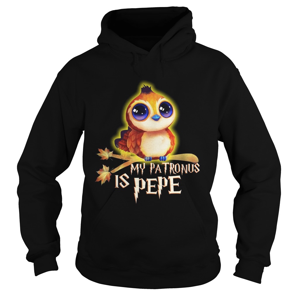 My patronus is pepe Hoodie