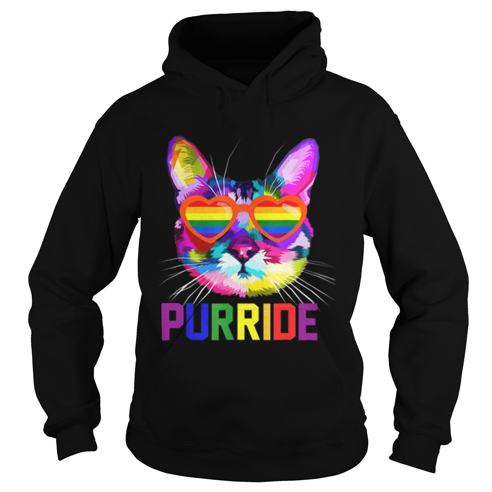 Original Gay Pride LGBT Pride Sunglasses Cat Gift Purride Hoodie