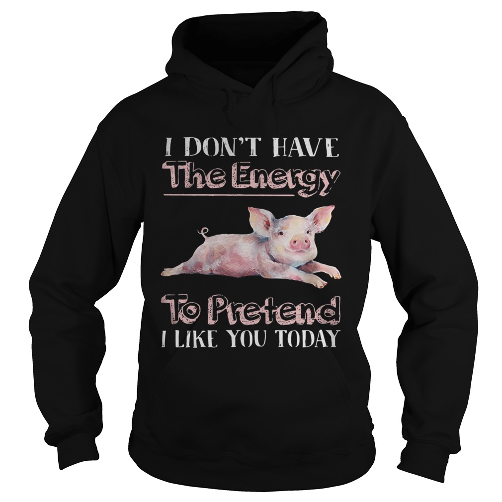 Pig I dont have the energy to pretend i like you today Hoodie