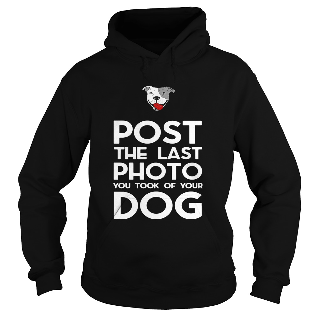 Pitbull postthe last photo you took of your dog Hoodie