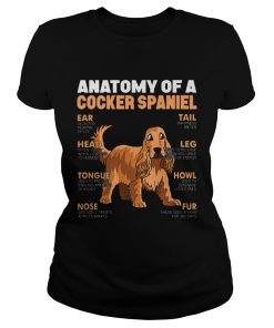 Anatomy Of A Cocker Spaniel The Function Of Dogs Part  Classic Ladies