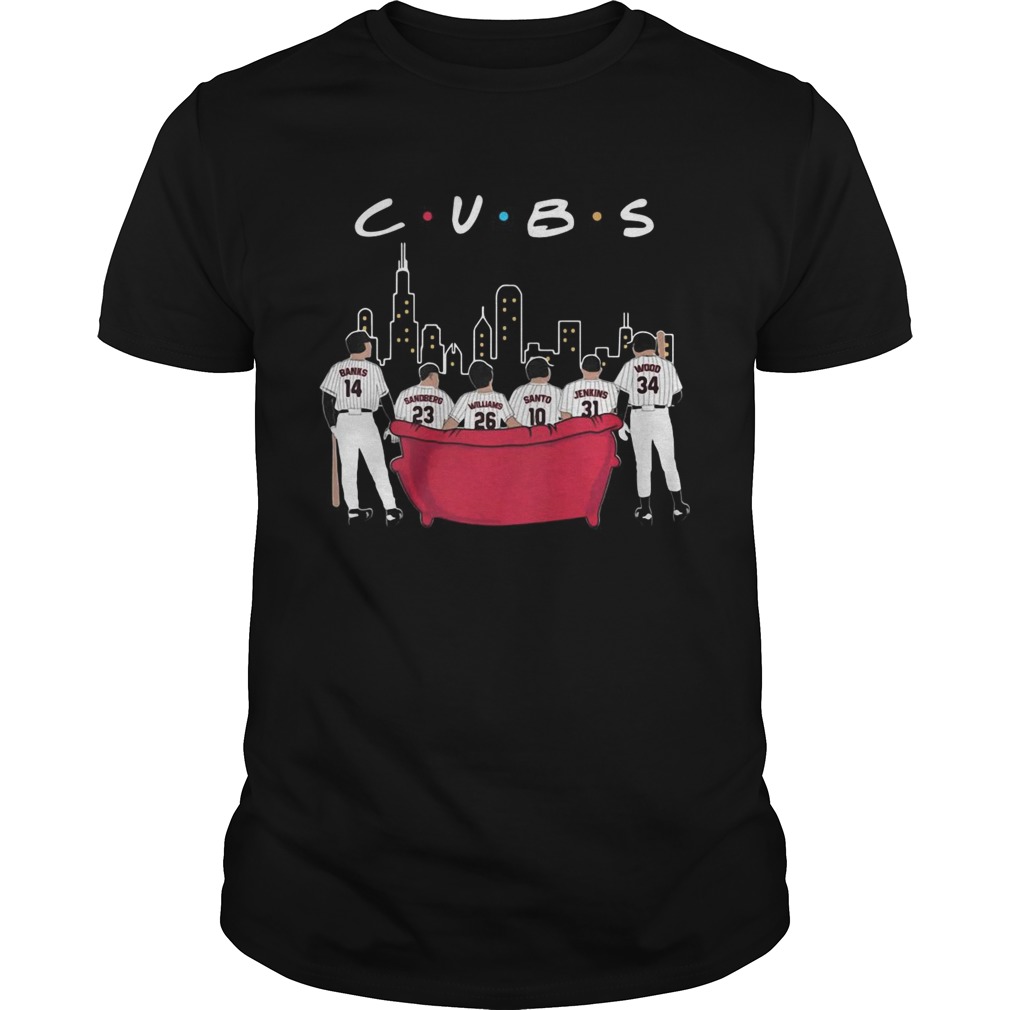 Chicago CUBS baseball shirt