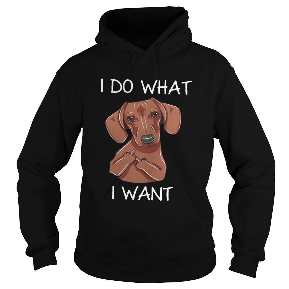 Dachshund I do what I want Hoodie