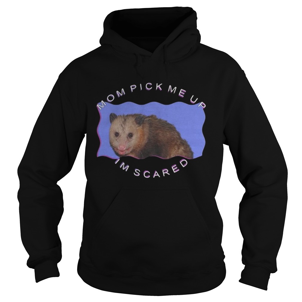 Ferret Mom pick me up Im scared Hoodie