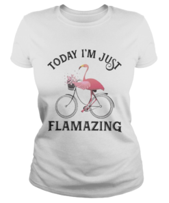 Flamingo today Im just flamazing  Classic Ladies