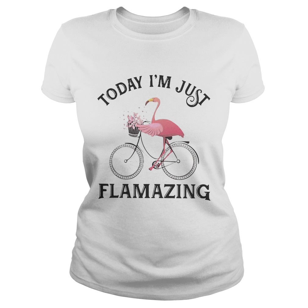 Flamingo today Im just flamazing Classic Ladies