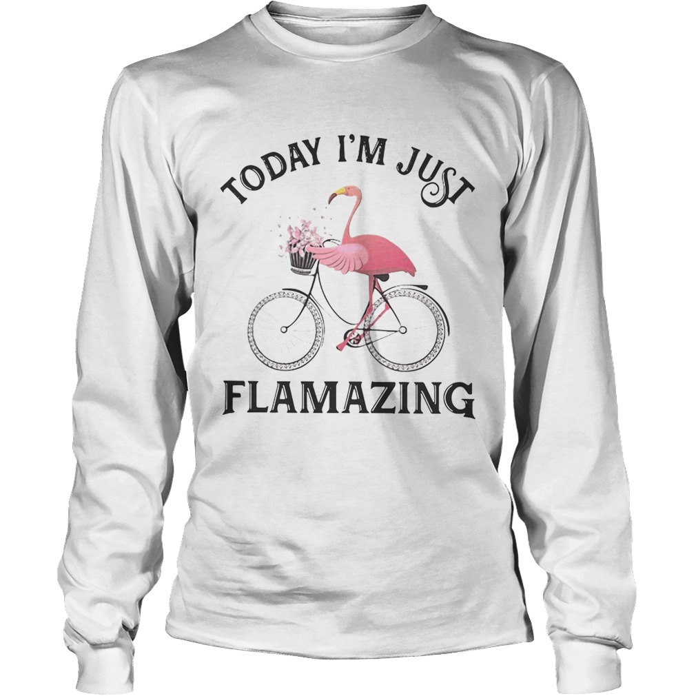 Flamingo today Im just flamazing LongSleeve