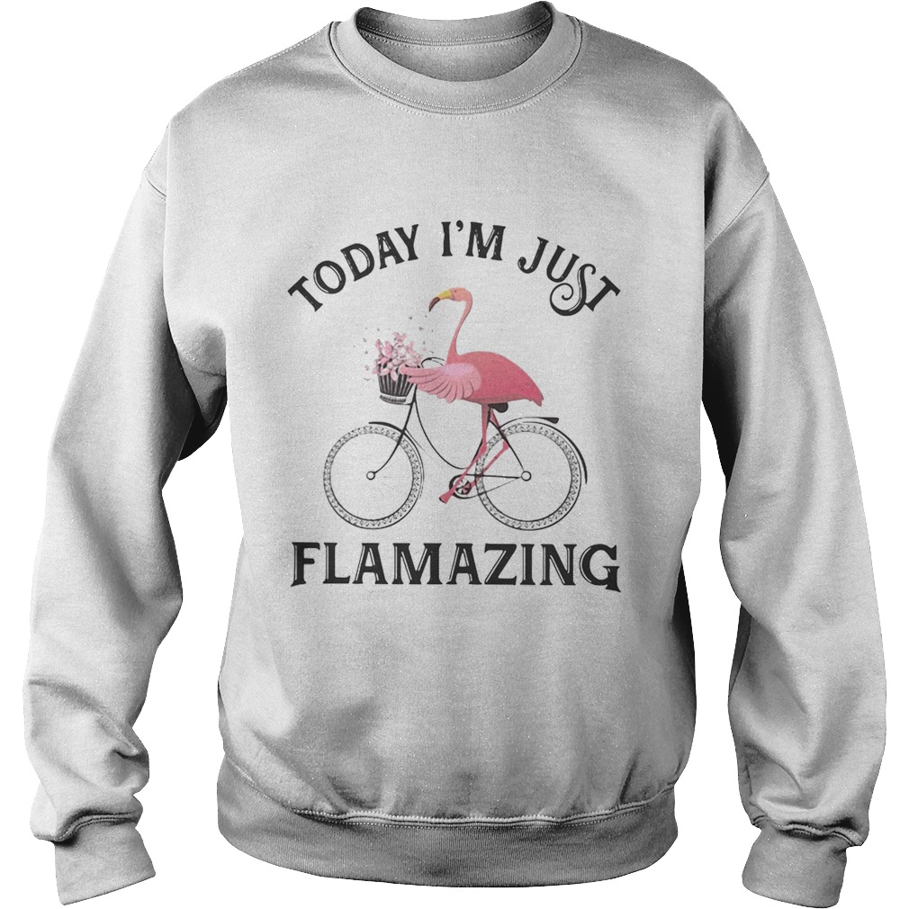 Flamingo today Im just flamazing Sweatshirt