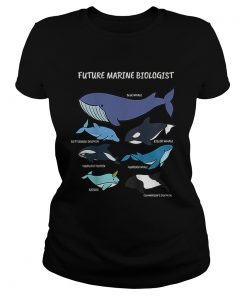 Future Marine Biologist Types of Whales and Dolphins Whale Let It Be Nature  Classic Ladies