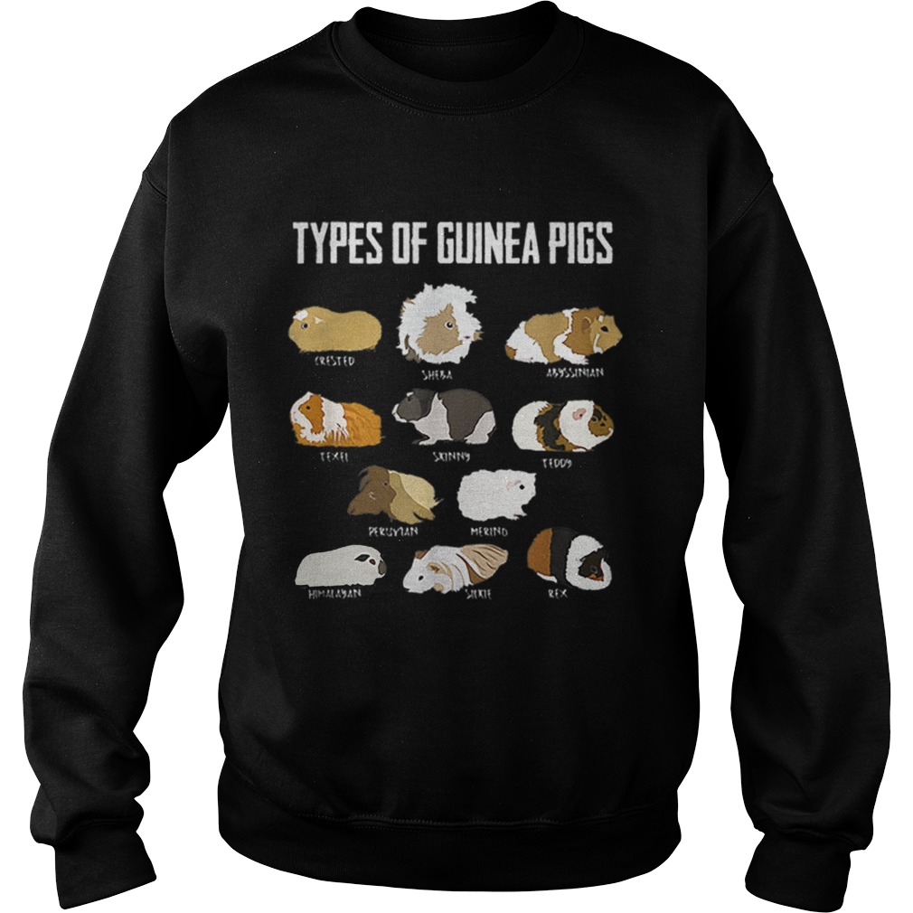 Guinea Pig Girl Types Of Guinea Pigs Guinea Texel Skinny Teddy Sweatshirt