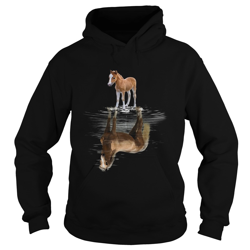 Horse reflection Hoodie