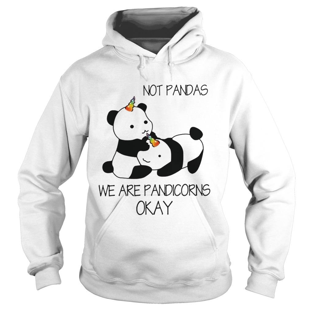 Not Pandas We Are Pandicorns Okay Hoodie