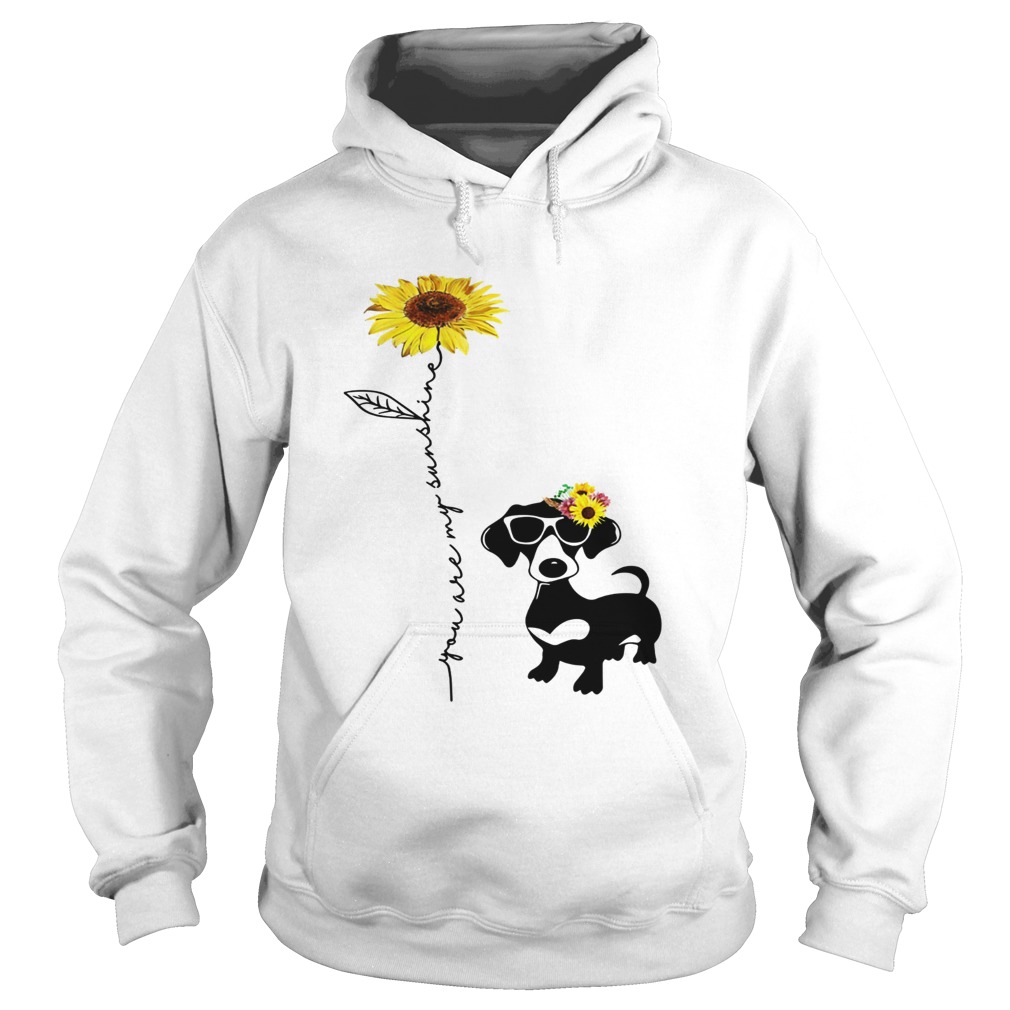 You Are My Sunshine Dachshund Hoodie