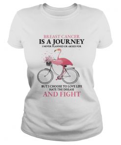 Flamingo breast cancer is a journey I never planned or asked for  Classic Ladies