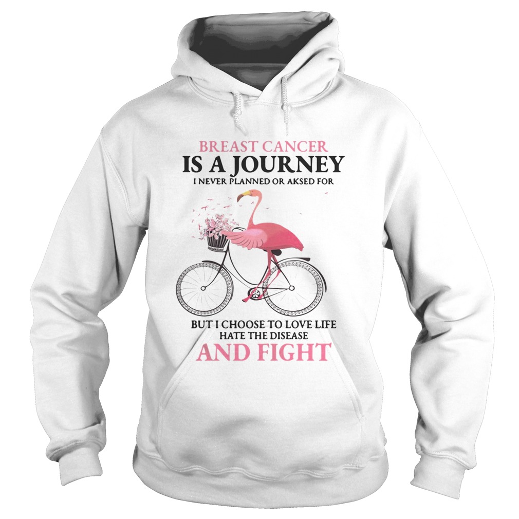 Flamingo breast cancer is a journey I never planned or asked for Hoodie