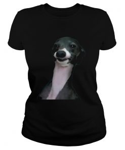 Jenna Marbles Dog Kermit Shirt Classic Ladies