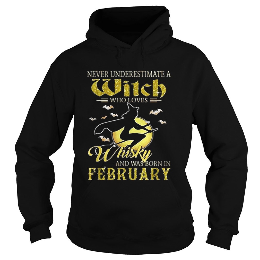 Never underestimate a witch who loves whisky and was born in February Hoodie