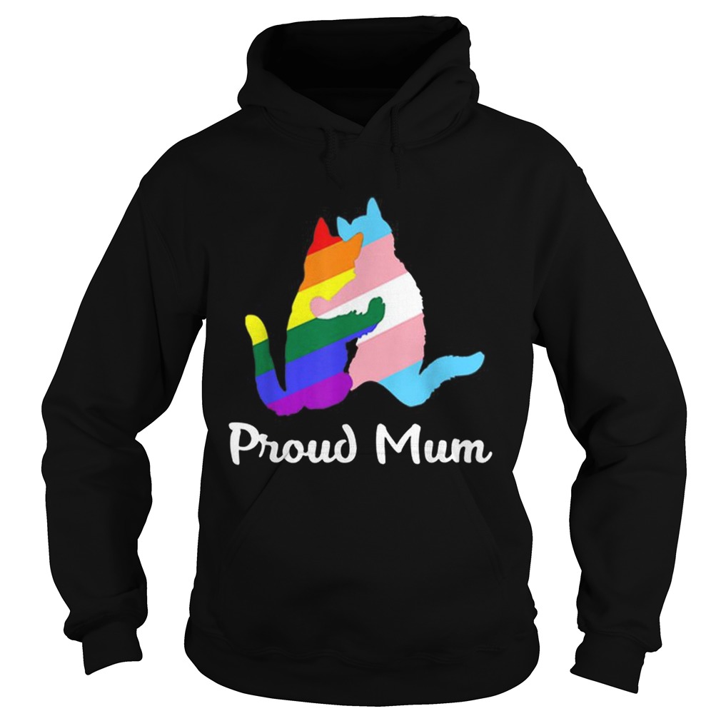 Pretty Proud Mum LGBT Gay Pride Month Rainbow Flag Hoodie