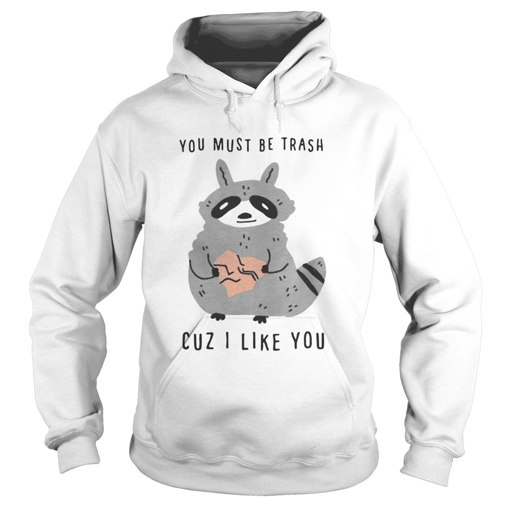 Raccoon you must be trash cuz I like you Hoodie