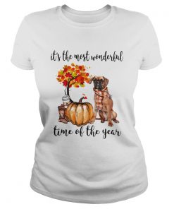 Boxer pumpkin Its the most wonderful time of the year  Classic Ladies