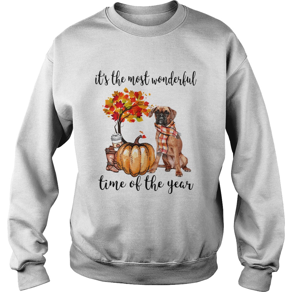 Boxer pumpkin Its the most wonderful time of the year Sweatshirt