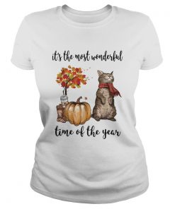 Cat and pumpkin its the most wonderful time of the year  Classic Ladies