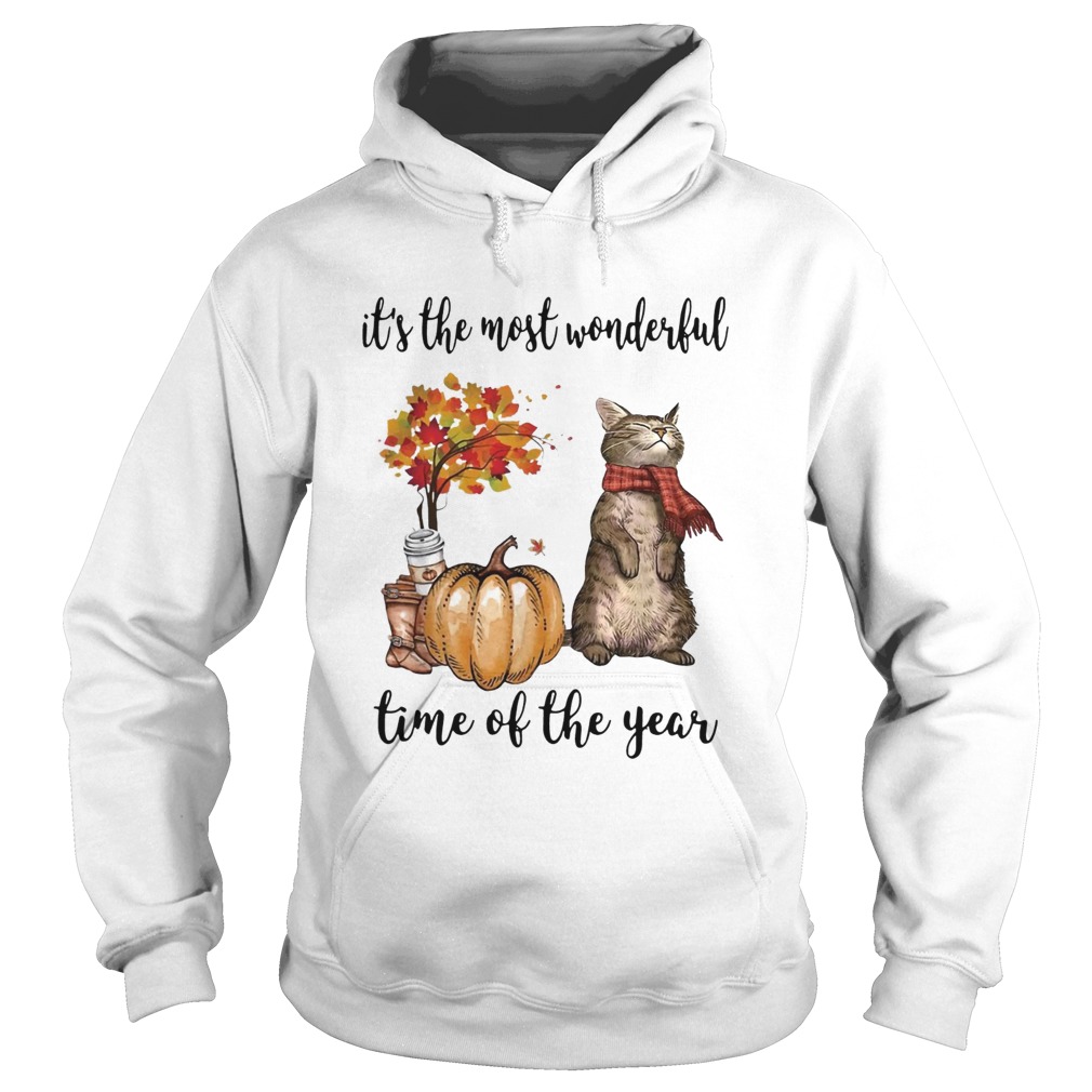 Cat and pumpkin its the most wonderful time of the year Hoodie