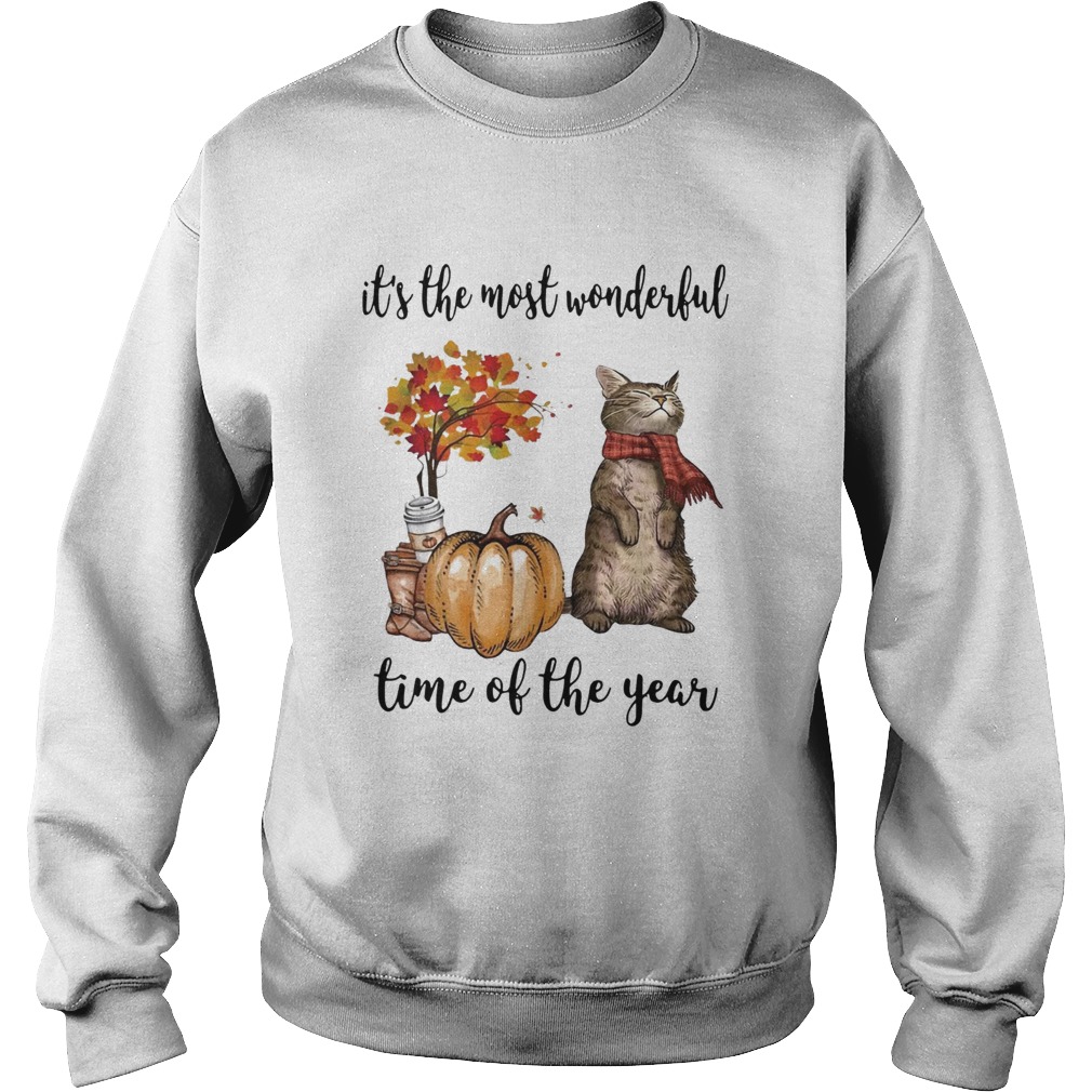 Cat and pumpkin its the most wonderful time of the year Sweatshirt