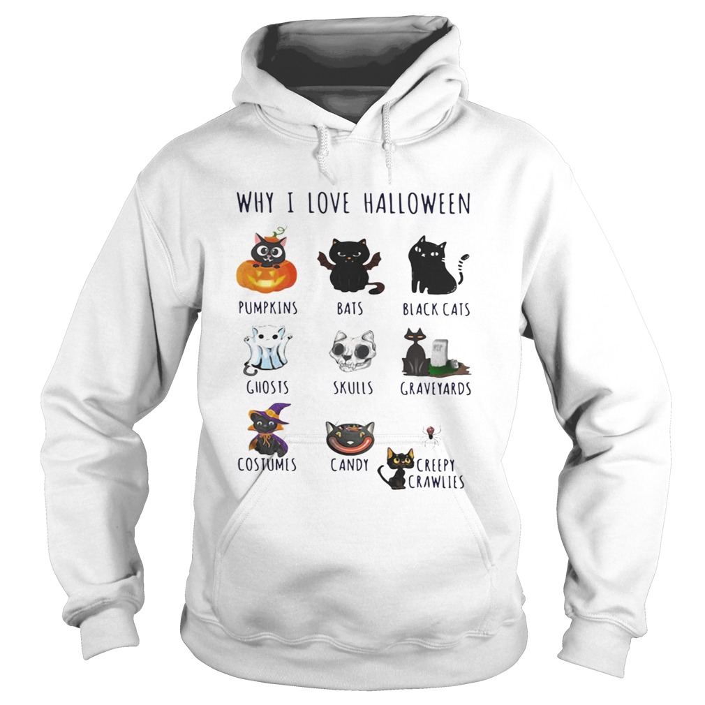 Cat why I love Halloween pumpkins bats black cats ghosts skulls graveyards Hoodie