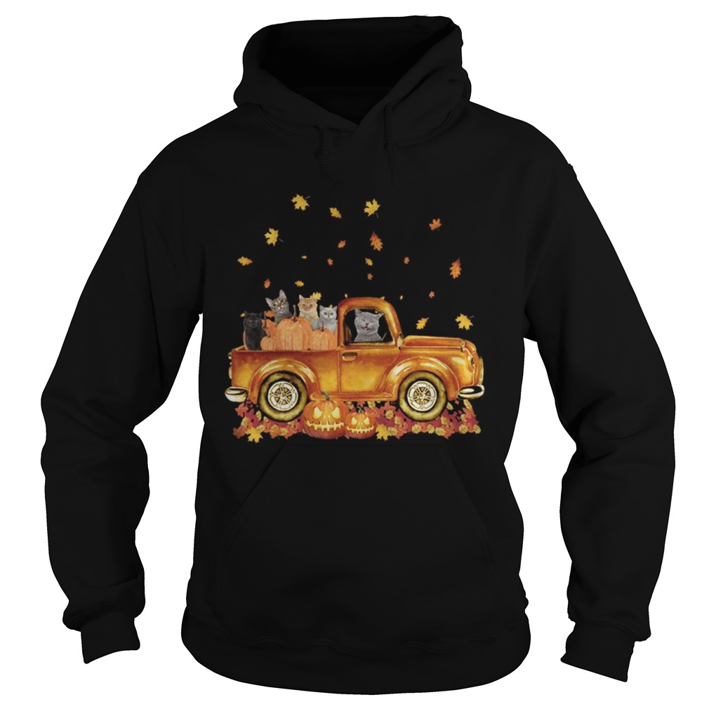 Cats pumpkin car halloween Hoodie