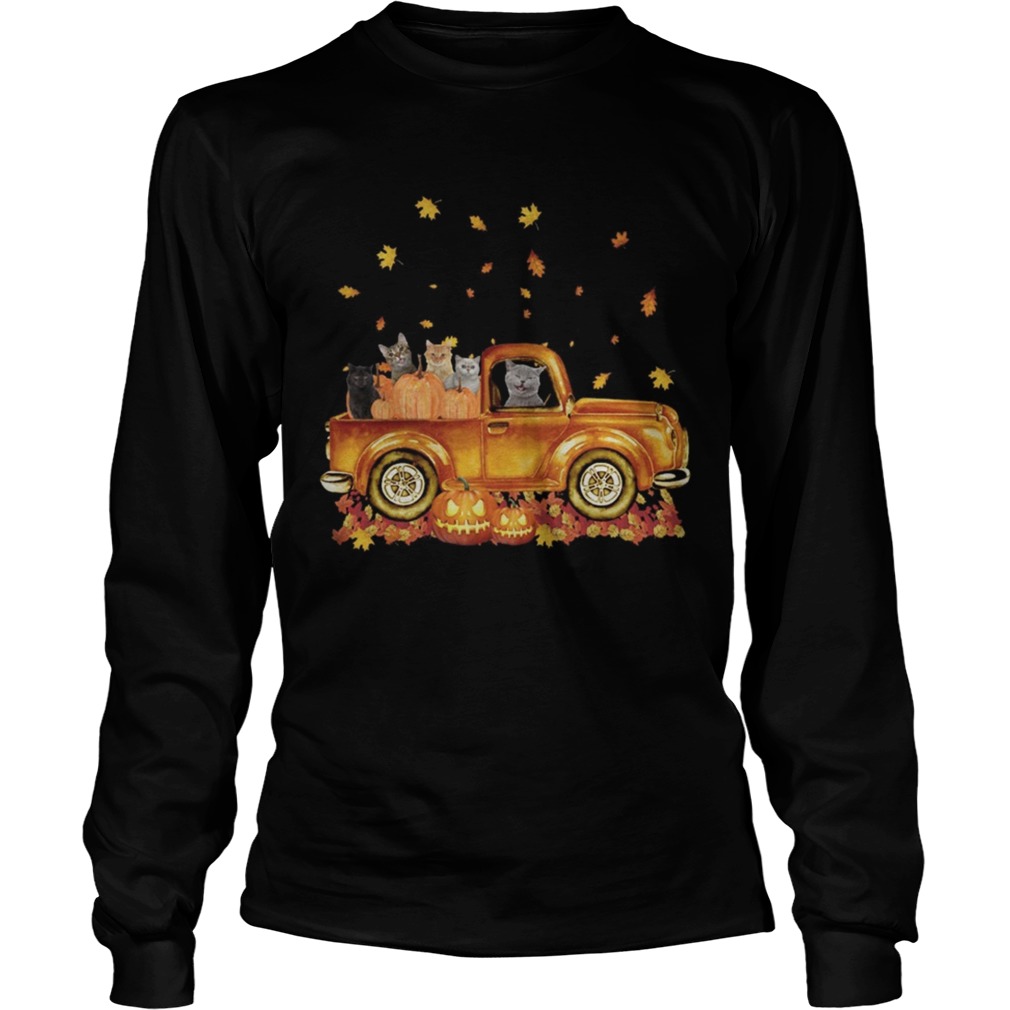 Cats pumpkin car halloween LongSleeve