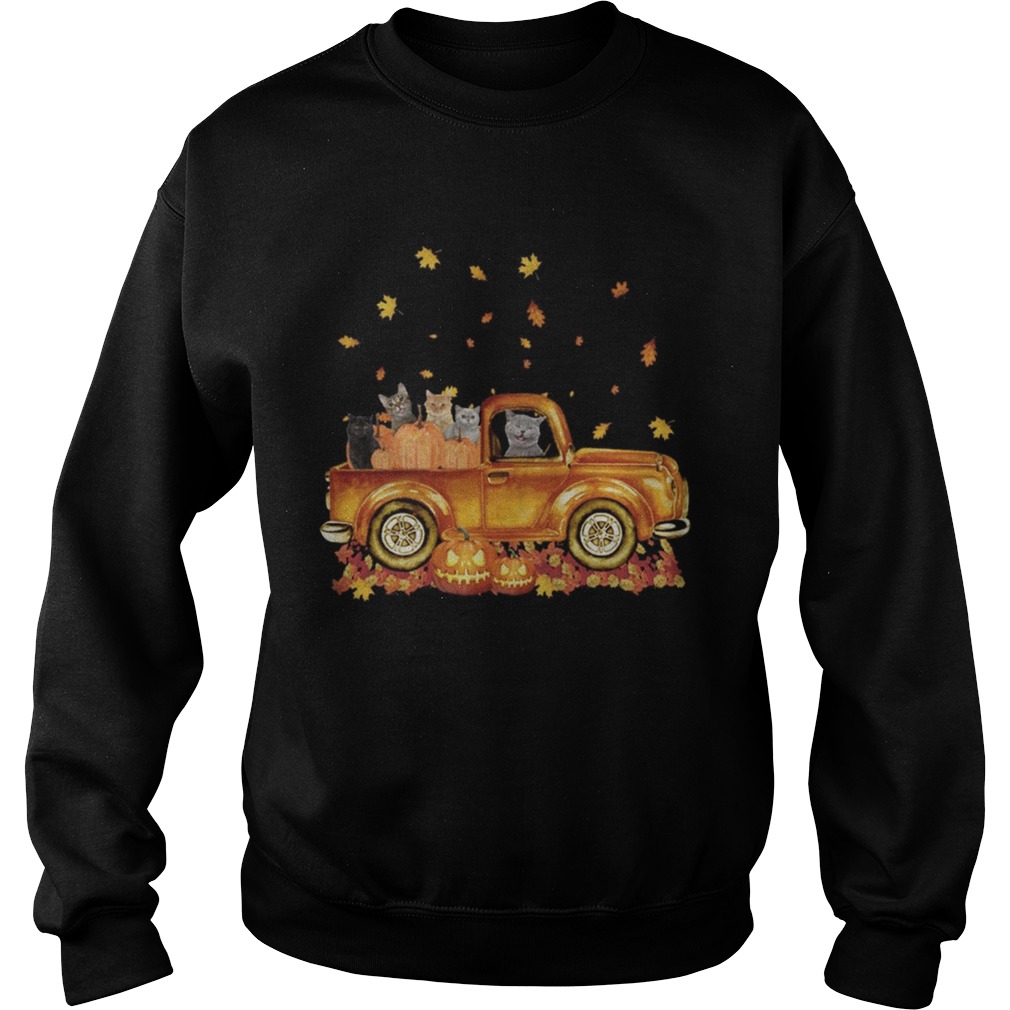 Cats pumpkin car halloween Sweatshirt