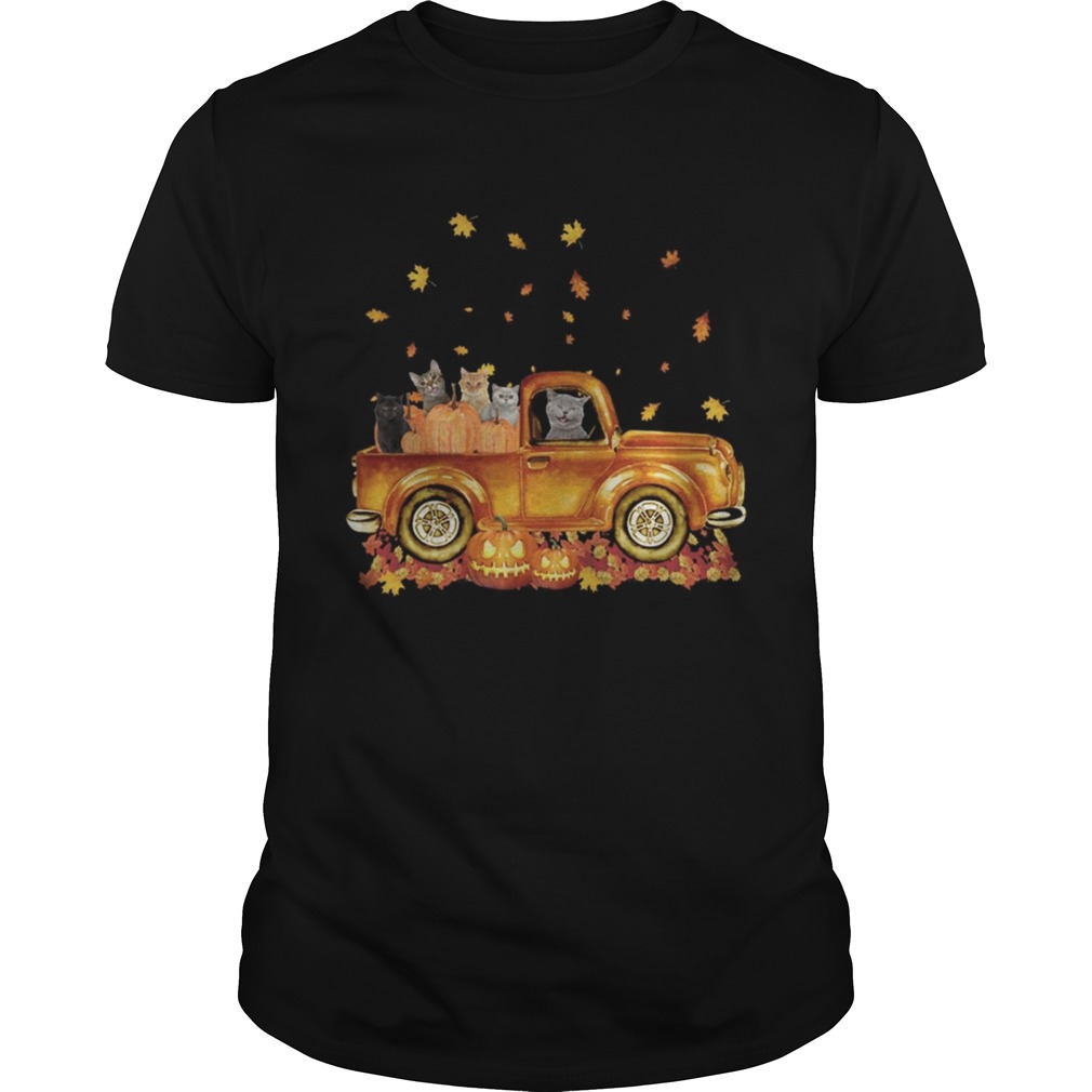 Cats pumpkin car halloween shirt