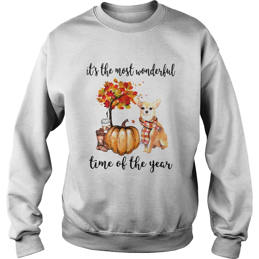 Chihuahua its the most wonderful time of the year Sweatshirt