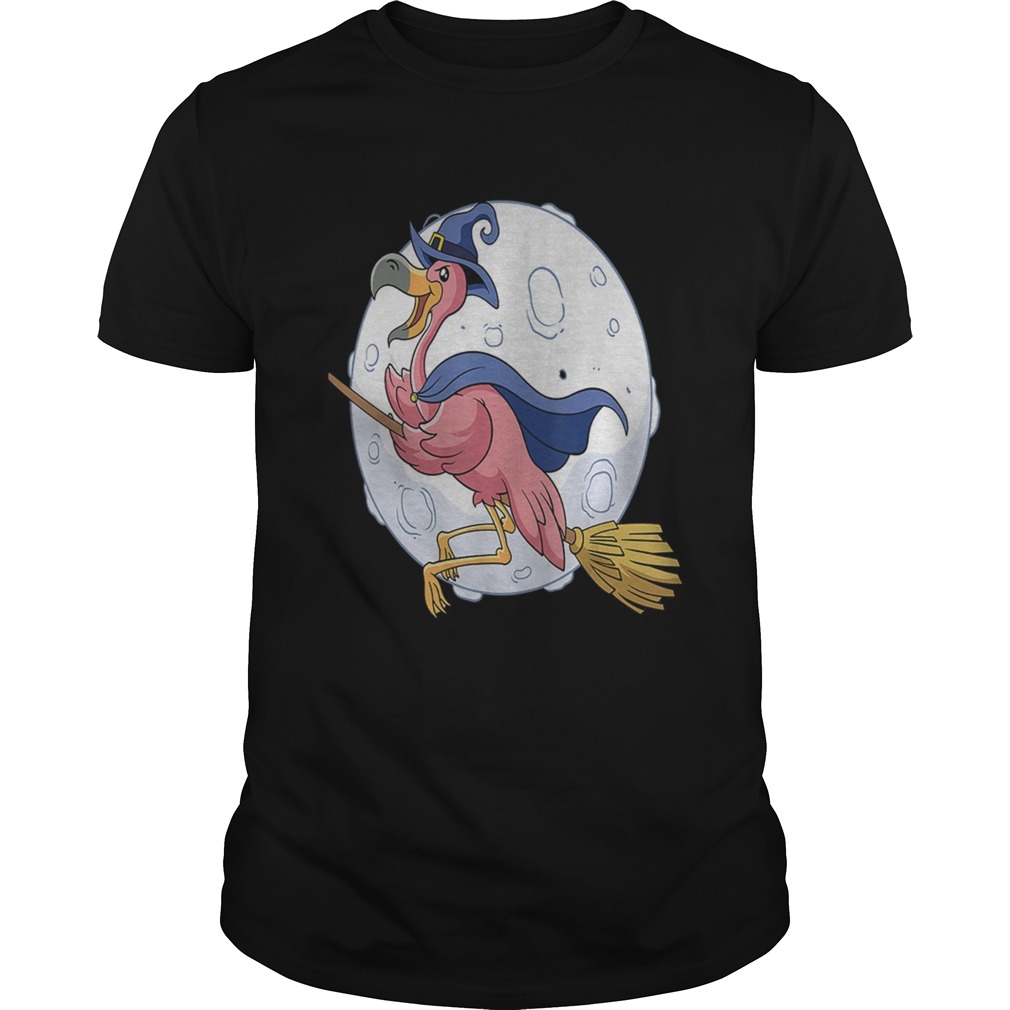 Flamingo Witche Funny Halloween Flamingo TShirt