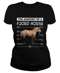 The anatomy of a Fjord horse  Classic Ladies