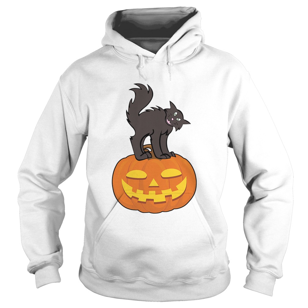 Black Cat On Pumpkin Funny Cat Lover TShirt Hoodie