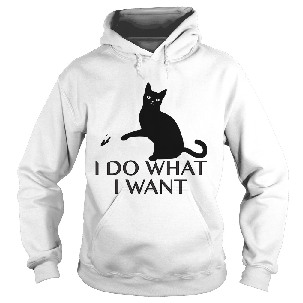 Black cat I do what I want Hoodie